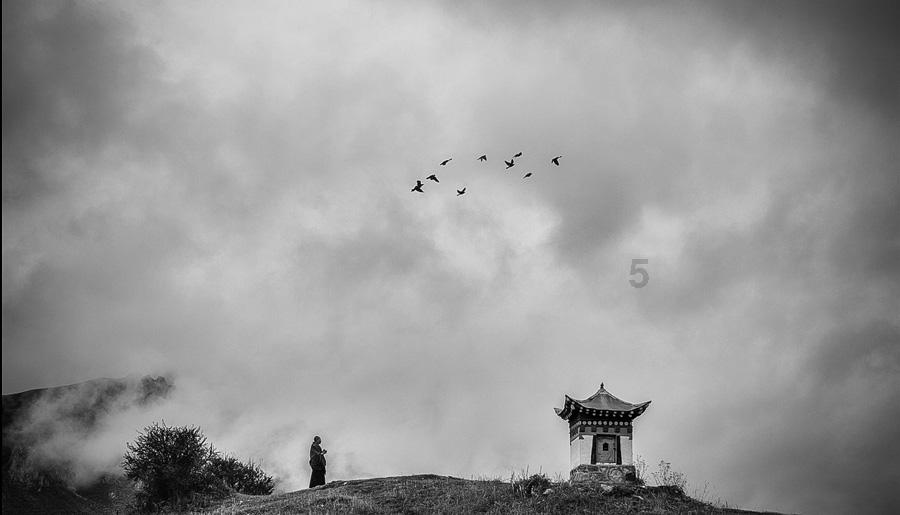 沪江开心词场