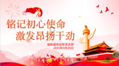 影之诗